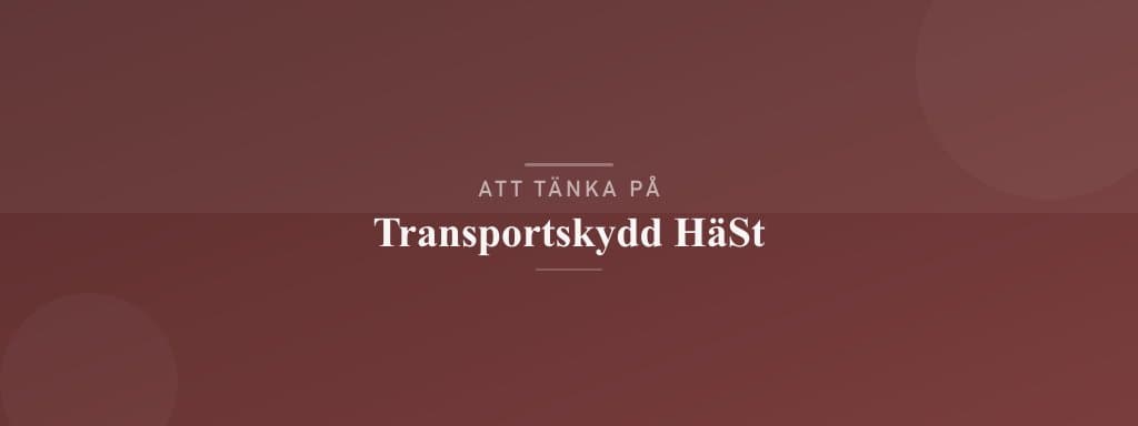 Vanliga misstag med transportskydd häst