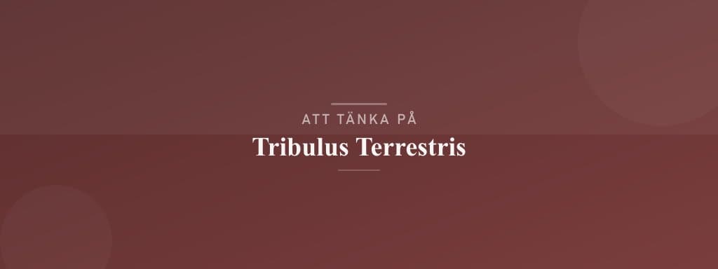 Vanliga misstag med tribulus terrestris