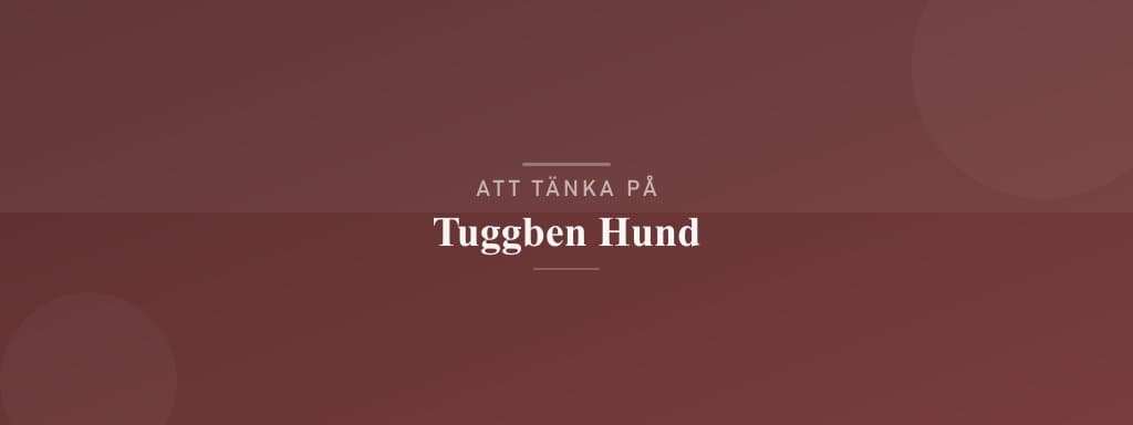Vanliga misstag med tuggben hund