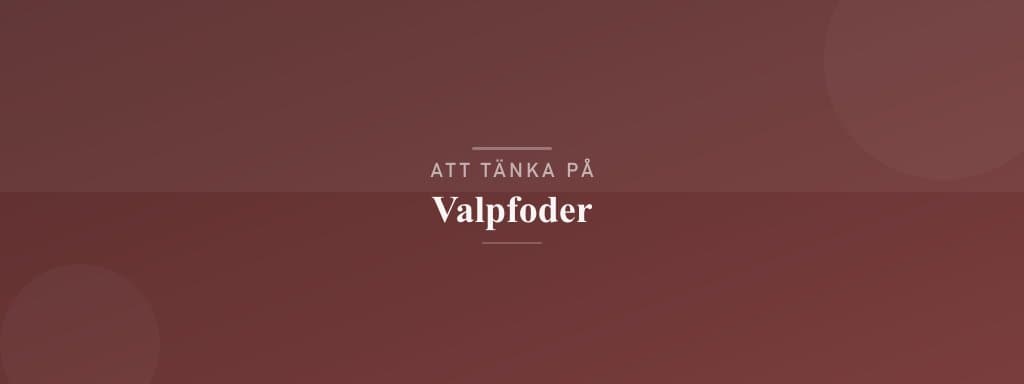 Vanliga misstag med valpfoder