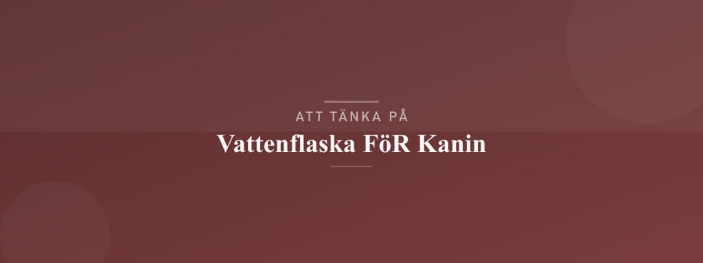 Vanliga misstag med vattenflaska för kanin
