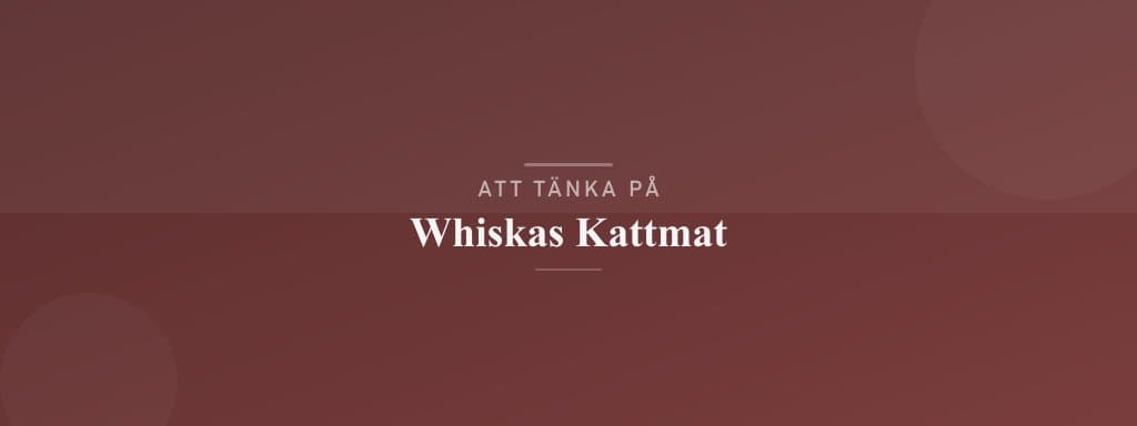 Vanliga misstag med whiskas kattmat