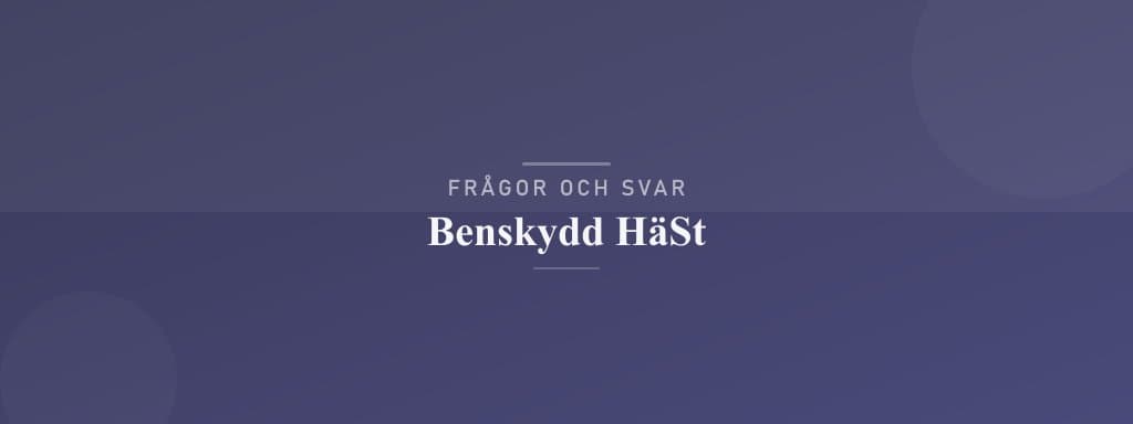 Vanliga frågor om benskydd häst