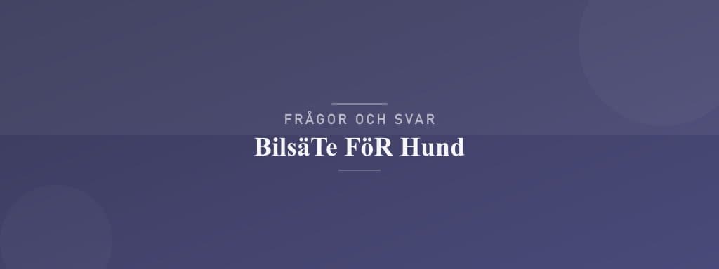 Vanliga frågor om bilsäte för hund