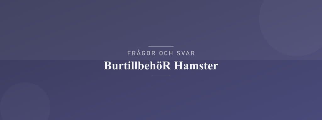 Vanliga frågor om burtillbehör hamster
