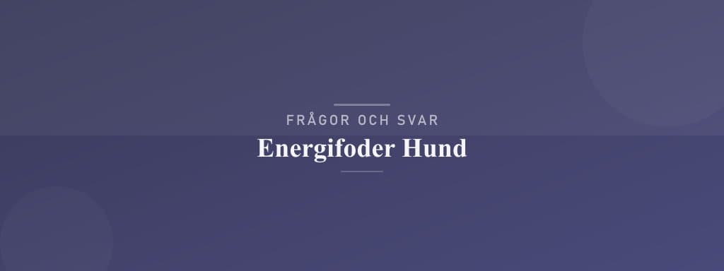 Vanliga frågor om energifoder hund