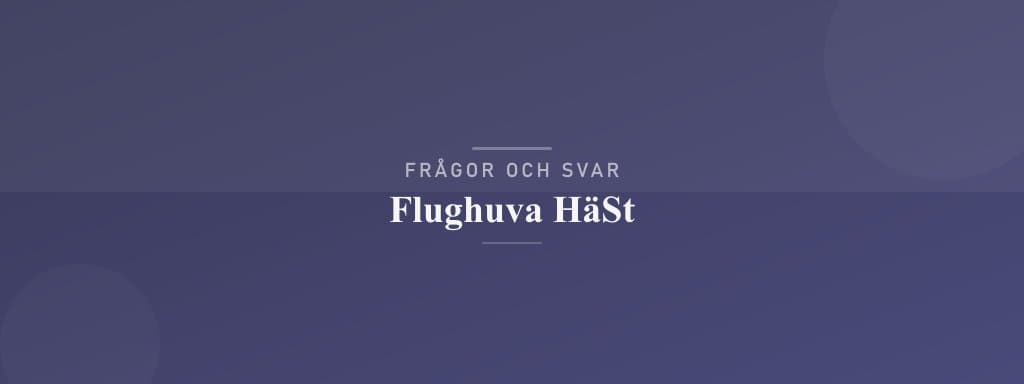 Vanliga frågor om flughuva häst