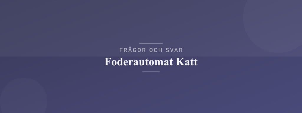 Vanliga frågor om foderautomat katt