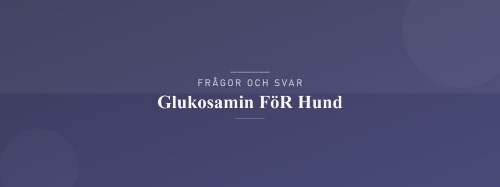 Vanliga frågor om glukosamin för hund