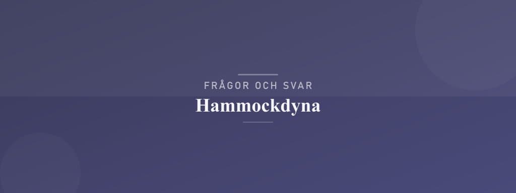 Vanliga frågor om hammockdyna
