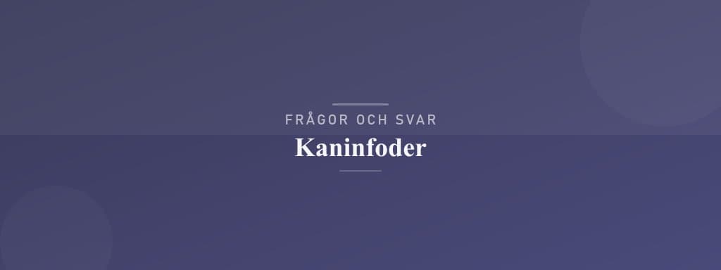 Vanliga frågor om kaninfoder