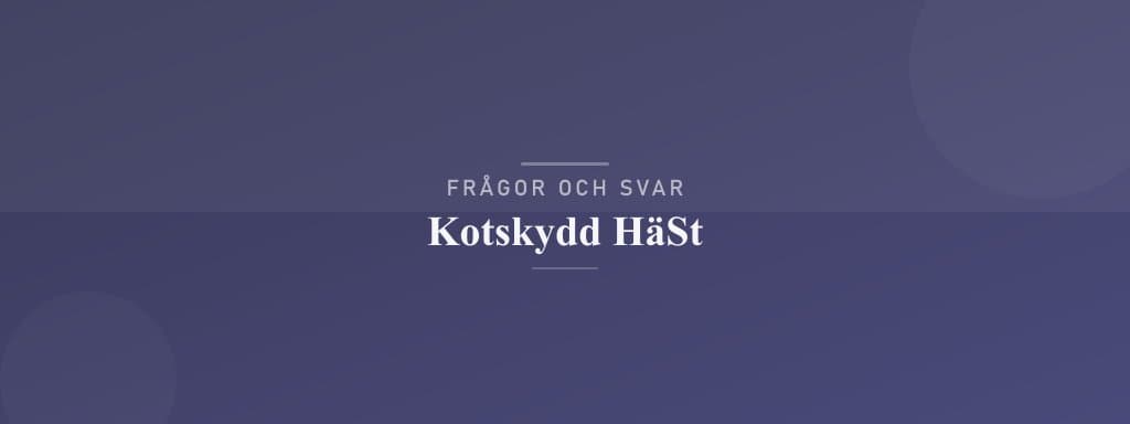 Vanliga frågor om kotskydd häst