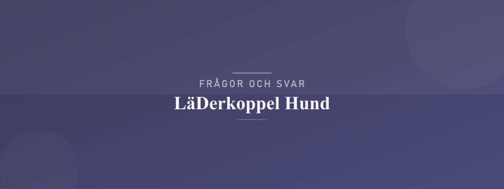 Vanliga frågor om läderkoppel hund