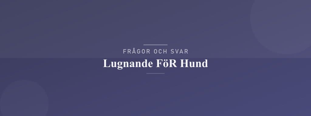 Vanliga frågor om lugnande för hund
