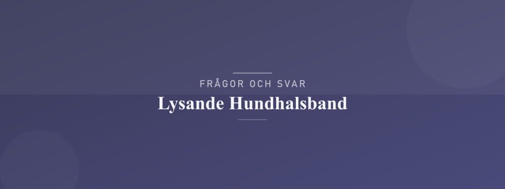 Vanliga frågor om lysande hundhalsband