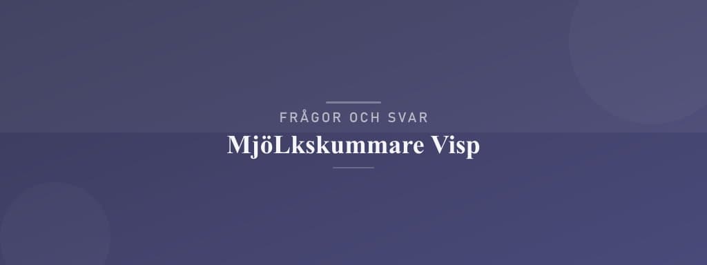 Vanliga frågor om mjölkskummare visp