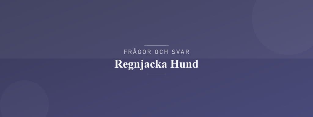 Vanliga frågor om regnjacka hund