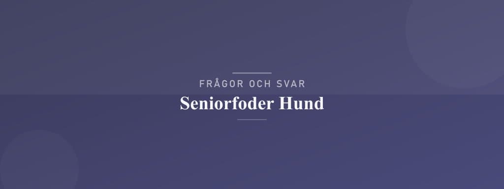 Vanliga frågor om seniorfoder hund
