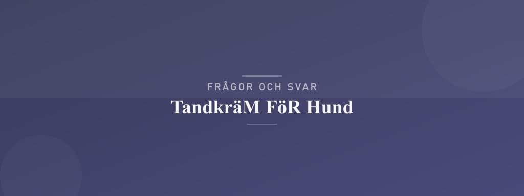 Vanliga frågor om tandkräm för hund