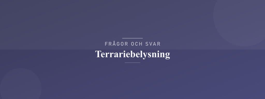 Vanliga frågor om terrariebelysning