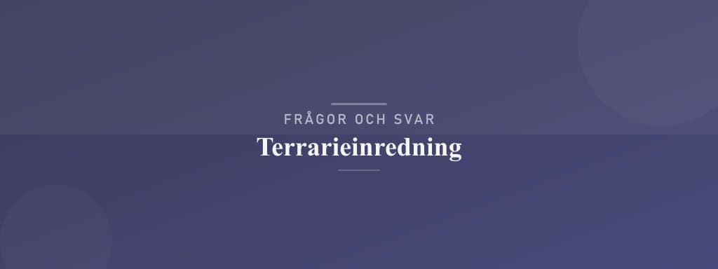 Vanliga frågor om terrarieinredning