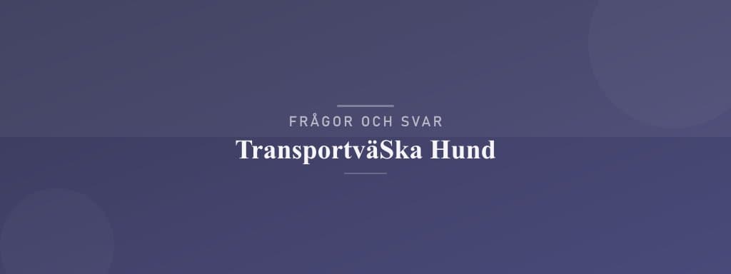 Vanliga frågor om transportväska hund