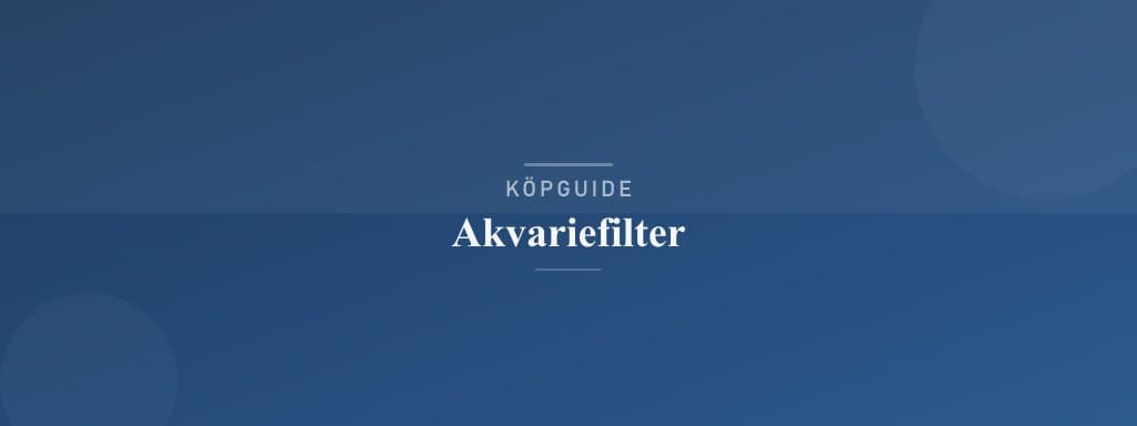 Välj rätt akvariefilter