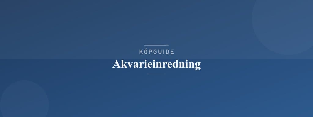 Välj rätt akvarieinredning
