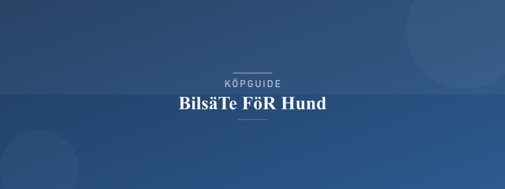 Välj rätt bilsäte för hund