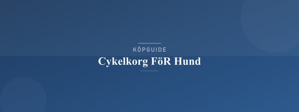 Välj rätt cykelkorg för hund
