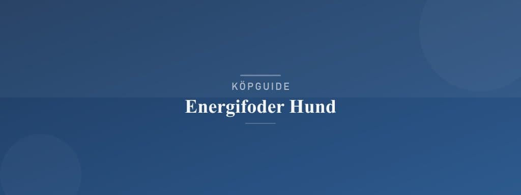 Välj rätt energifoder hund