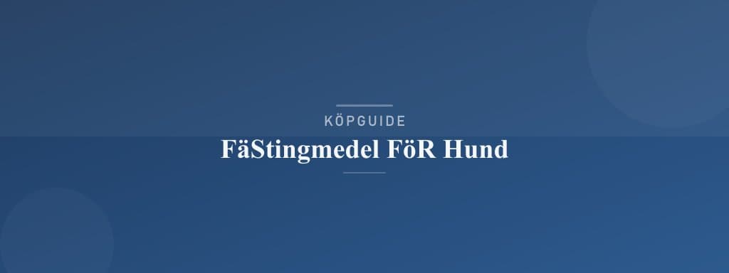 Välj rätt fästingmedel för hund