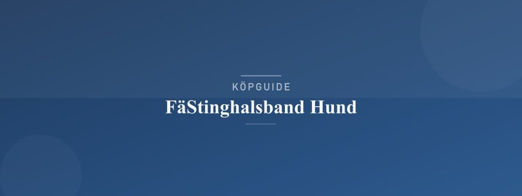Välj rätt fästinghalsband hund