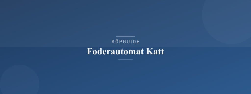 Välj rätt foderautomat katt
