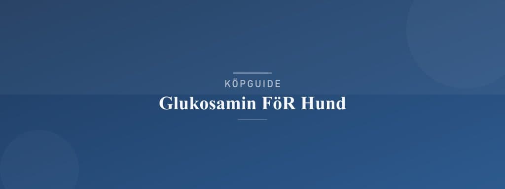 Välj rätt glukosamin för hund