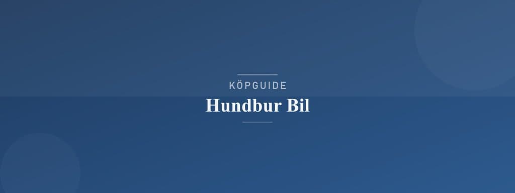 Välj rätt hundbur bil