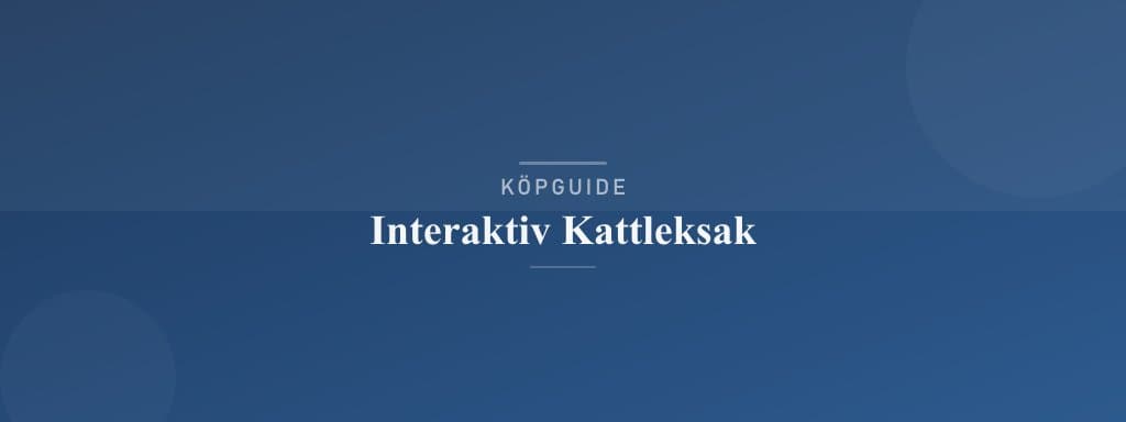 Välj rätt interaktiv kattleksak