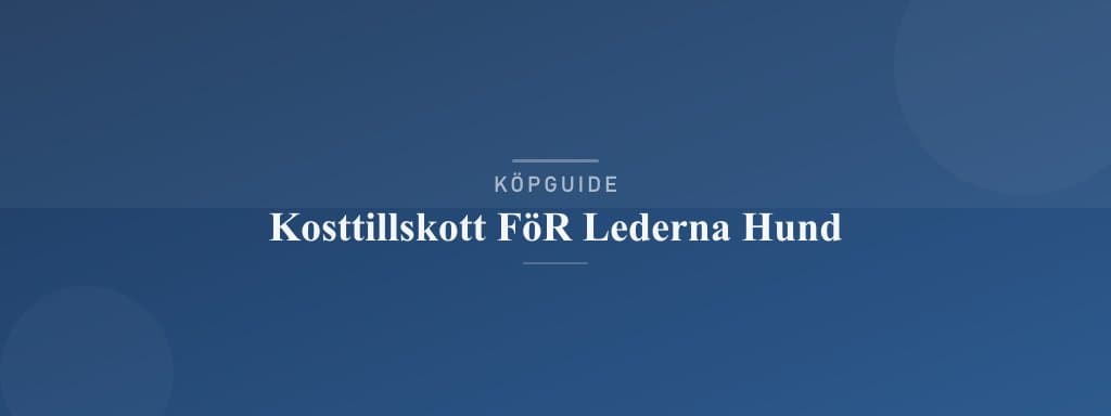 Välj rätt kosttillskott för lederna hund