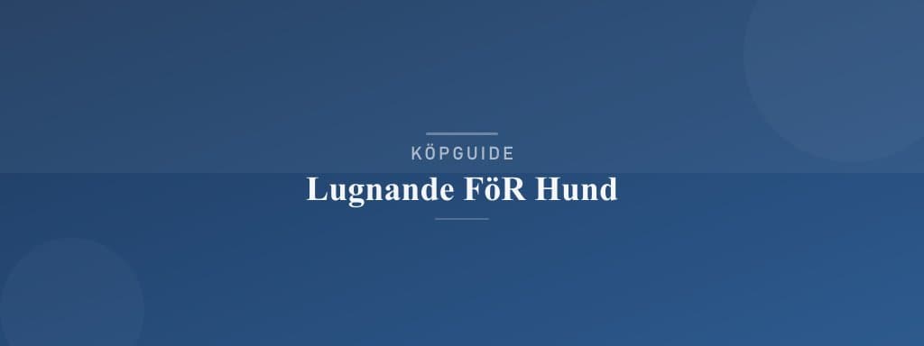 Välj rätt lugnande för hund