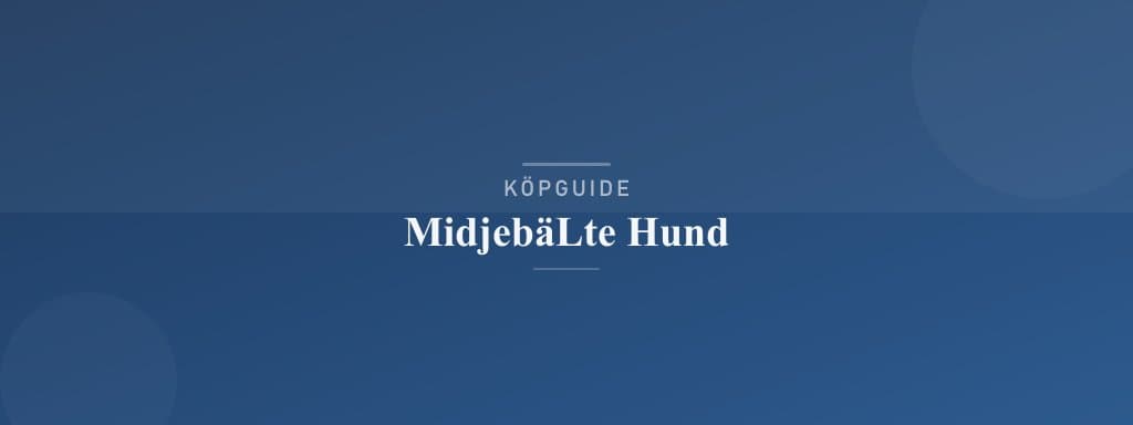 Välj rätt midjebälte hund