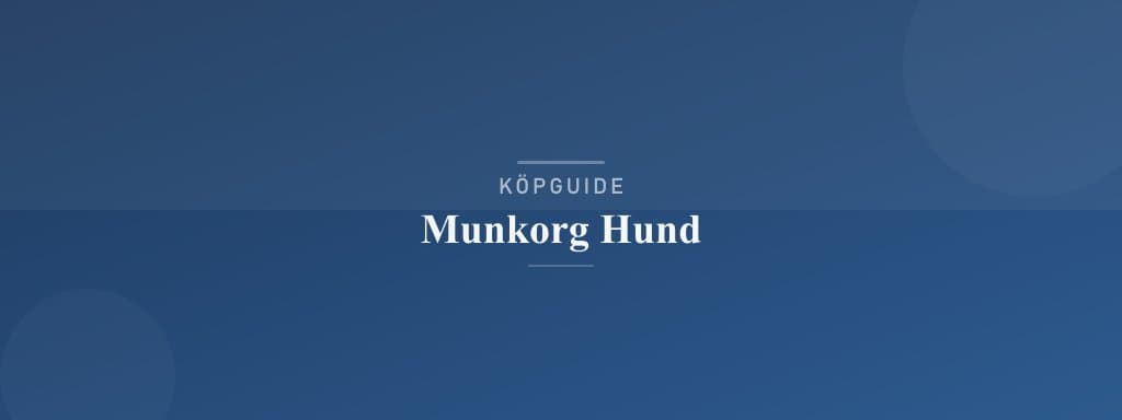 Välj rätt munkorg hund