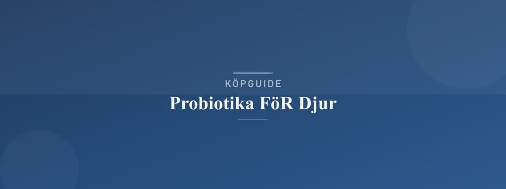 Välj rätt probiotika för djur