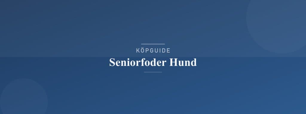 Välj rätt seniorfoder hund
