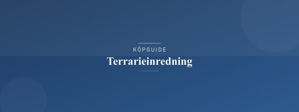 Välj rätt terrarieinredning