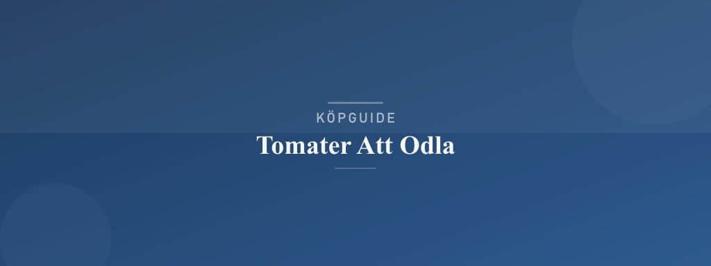 Välj rätt tomater att odla