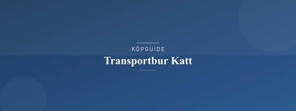 Välj rätt transportbur katt