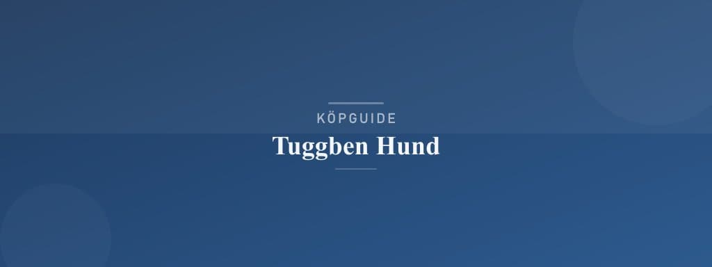 Välj rätt tuggben hund