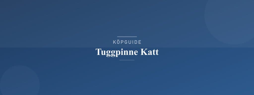 Välj rätt tuggpinne katt
