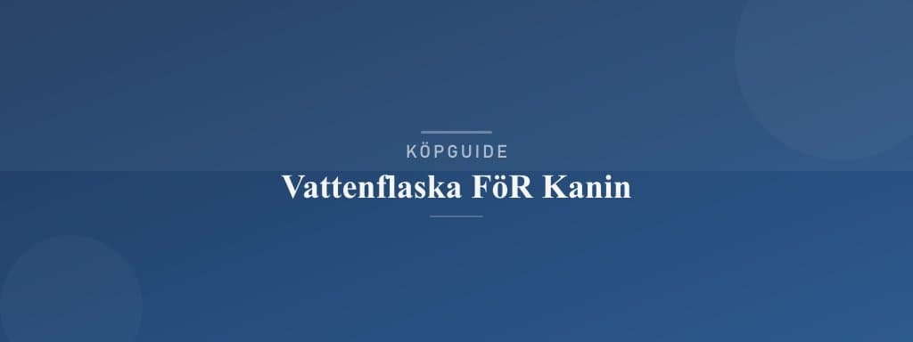 Välj rätt vattenflaska för kanin