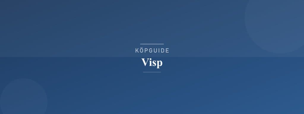 Välj rätt visp